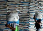 Pemerintah Jamin Stok Pupuk Subsidi Aman hingga Akhir Tahun 2025