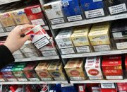 Hipmi Minta Cukai Rokok Proporsional: Lindungi Pekerja, Petani, dan Ekonomi.