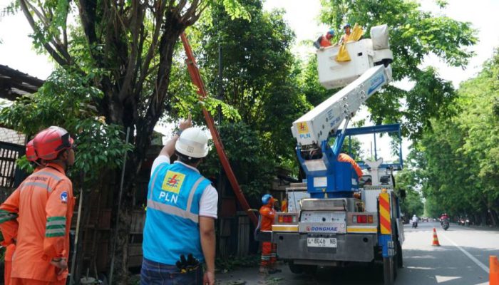 PLN UID Jatim Perkuat Keandalan Listrik di Tuban dengan Pemeliharaan Tanpa Padam