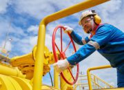 PGN Tegaskan Komitmen Swasembada Energi Lewat Pemanfaatan Gas Bumi