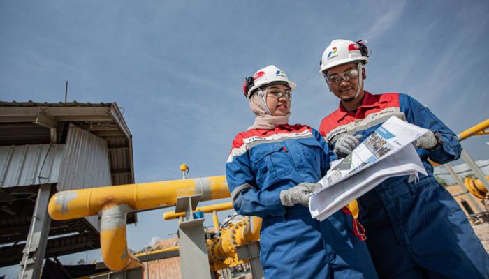 PGN Group Raih 7 Penghargaan Stevie Awards 2025: Tegaskan Reputasi dan Inovasi di Kancah Global