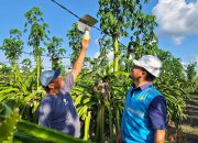 PLN Jatim Siagakan 5.451 Personel Jaga Keandalan Listrik Selama Nataru 2025/2026