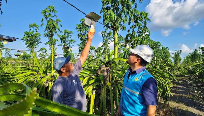 PLN Jatim Siagakan 5.451 Personel Jaga Keandalan Listrik Selama Nataru 2025/2026