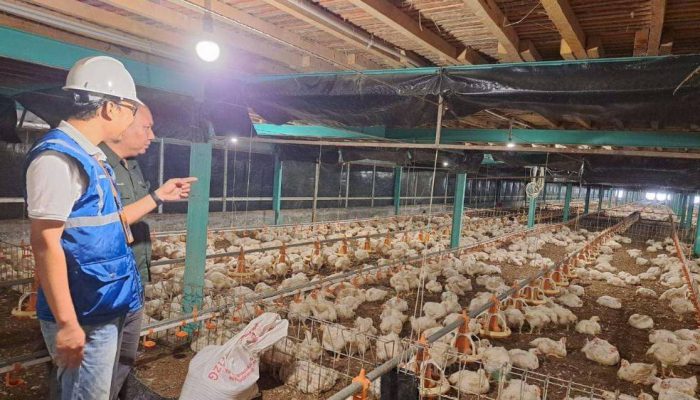 Tarif Listrik Triwulan I 2026 Tidak Naik