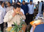 Tinjau Panen Raya di Karawang, Presiden Prabowo Cicipi Produk Pertanian