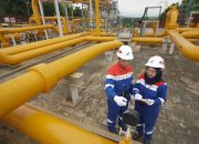 Pertagas Perkuat Infrastruktur Energi Setelah Catat Kinerja Positif 2025