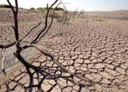 Waspada Kemarau Lebih Awal, BMKG Rilis Jadwal 2026