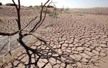 Waspada Kemarau Lebih Awal, BMKG Rilis Jadwal 2026