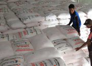 Industri Pupuk Nasional Catat Lonjakan Ekspor ke Australia hingga Rp7 Triliun