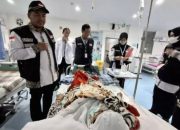 BPJS Kesehatan Dorong Jemaah Haji Cek Status Kepesertaan JKN