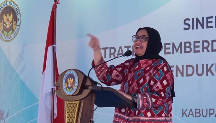 Prabowo Lakukan Penyegaran di BGN, Nanik Sudaryati Deyang Dipercaya Jadi Kepala