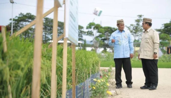 Prabowo Klaim Indonesia Mulai Bantu Negara Lain Lewat Surplus Pangan
