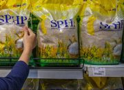 Pemerintah Perkuat Ketahanan Pangan, Penyaluran Beras SPHP Naik 274 Persen Dibanding Tahun Lalu