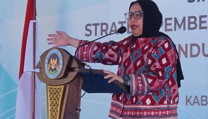 Kepala Badan Gizi Nasional Nanik S Deyang Mundur, Fokus Jalani Pengobatan Jantung