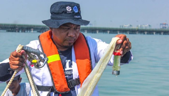 Riset Bersama BRIN, TTL Dokumentasikan Kekayaan Biota Laut Kawasan Teluk Lamong