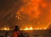 Kebakaran Kaldera Meluas, TNBTS Tutup Total Akses Wisata Gunung Bromo