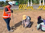 Terminal Teluk Lamong dan BRIN Perkuat Riset Ekologi Berbasis ESG