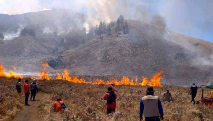 Bromo Dibuka Lagi 20 Agustus! Wisatawan Diwanti-wanti Tak Picu Kebakaran Susulan