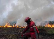 Kemenhut Ungkap Modus Karhutla di Sejumlah Daerah, Korporasi Ikut Jadi Tersangka