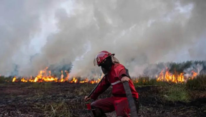 Kemenhut Ungkap Modus Karhutla di Sejumlah Daerah, Korporasi Ikut Jadi Tersangka