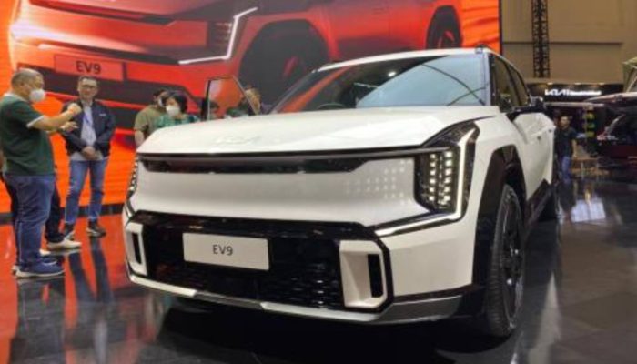 BEV Makin Diminati, Penjualan Mobil Listrik Indonesia Tembus 101 Ribu Unit