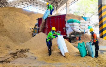 Kurangi Energi Fosil, SIG Pabrik Tuban Gunakan 400 Ton Sekam Padi Setiap Hari