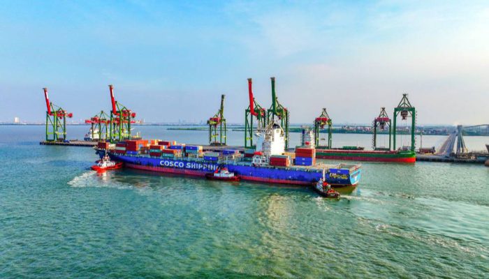 Transformasi Terminal Teluk Lamong Pascamerger Pelindo, Waktu Tunggu Kapal Turun Jadi 1,83 Jam
